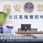 浙江瑞安警方破获新型毒品走私贩卖案，嫌疑人通过暗网与国外卖家进行毒品交易-暗网里